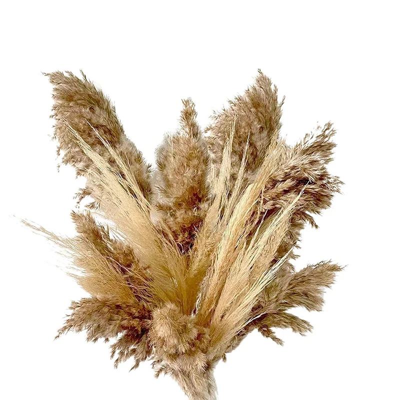 

Dried Pampas Grass Decor - 40 Pcs Natural Pompas Floral/ Dried Pompous Grass Boho Plant For Flower Arrangements Wedding
