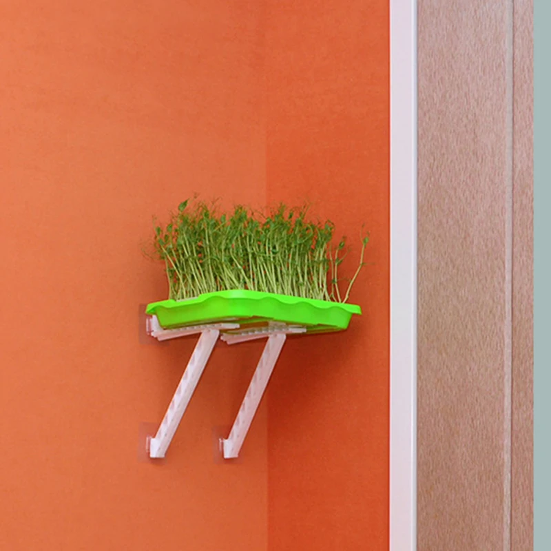 1/2 шт. блюдо для выращивания ростков горшок гидропонных овощных бобов посева