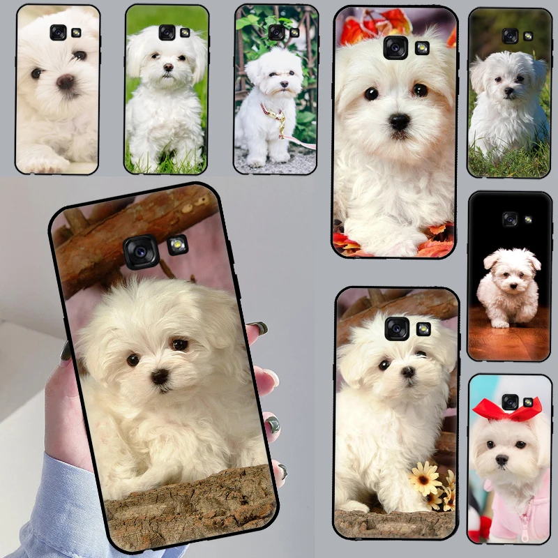 Maltese Dog Puppies Cover Case For Samsung J1 J3 J5 J7 A3 A5 2016 2017 J4 J6 A6 A8 Plus J8 A7 A9 2018 Coque