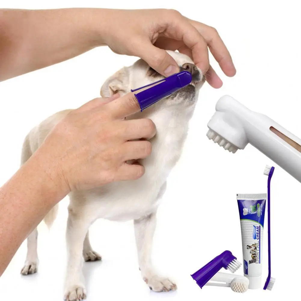 

1 Set Eco-friendly Plastic Beef Flavor Pet Toothbrush Toothpaste Set Pet Supplies Pet Toothpaste Finger Toothbrush