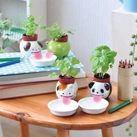 1pcs cartoon cute frog cat dog panda ceramic flower pot small animal succulent pot bonsai cactus pot indoor office decor