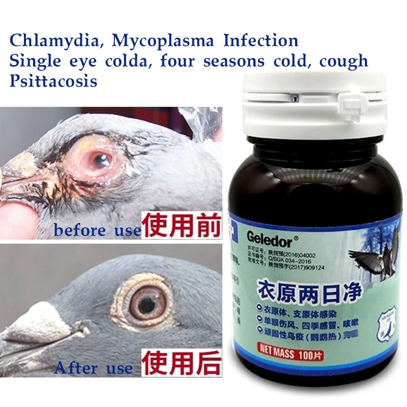 

Pigeon Chlamydia Two Days Net Single Eye Cold Cough Not Flying Throat Infection Thick Phlegm 100 Tablets