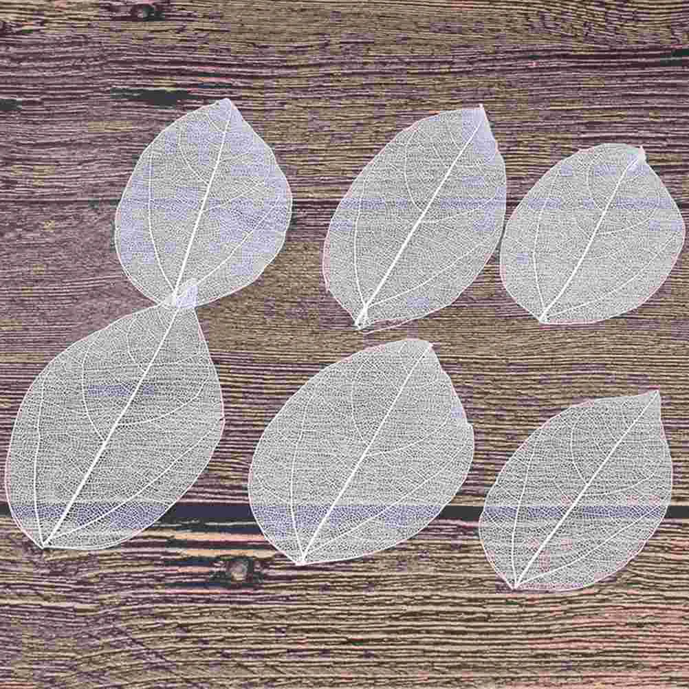 

Leaves Leaf Diy Natural Assorted Artificial Materials Tree Specimen Craft Embellishments Scrapbooking Faux Bookmark Home decor