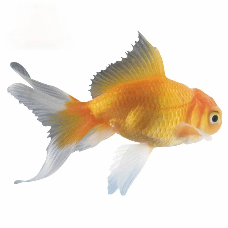 Золотая рыбка 20