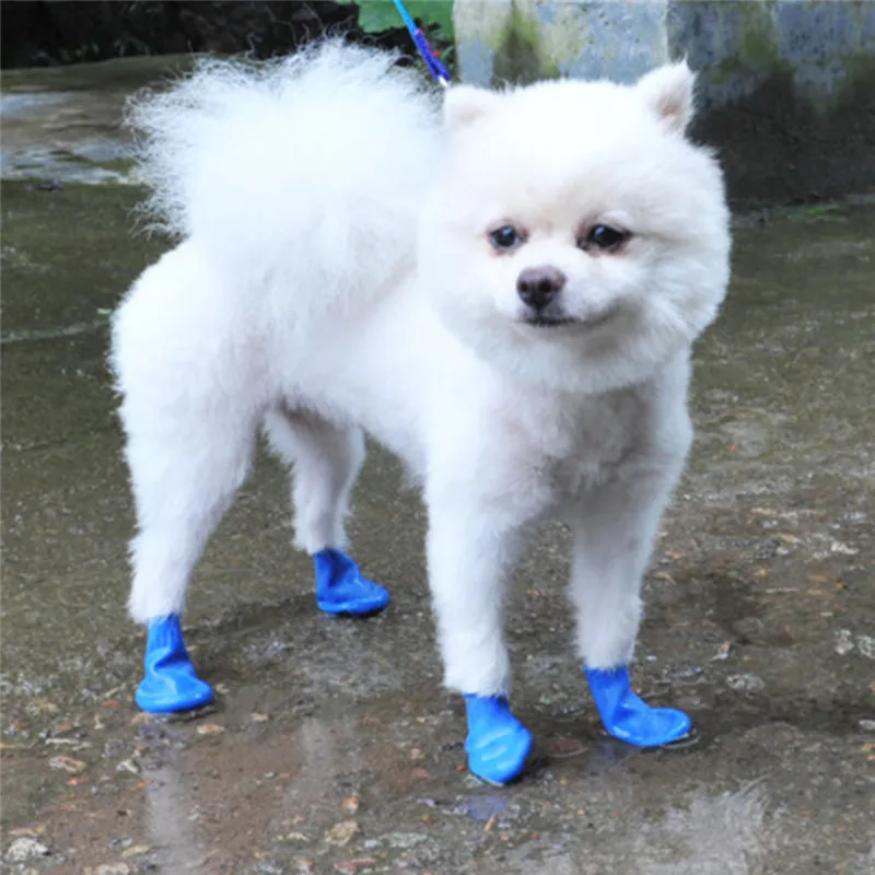 

Boots Chihuahua Rain Footwear Balloon Outdoor 4pcs/set Portable Dog Shoes Socks Dog Rubber Type For Accessories Waterproof