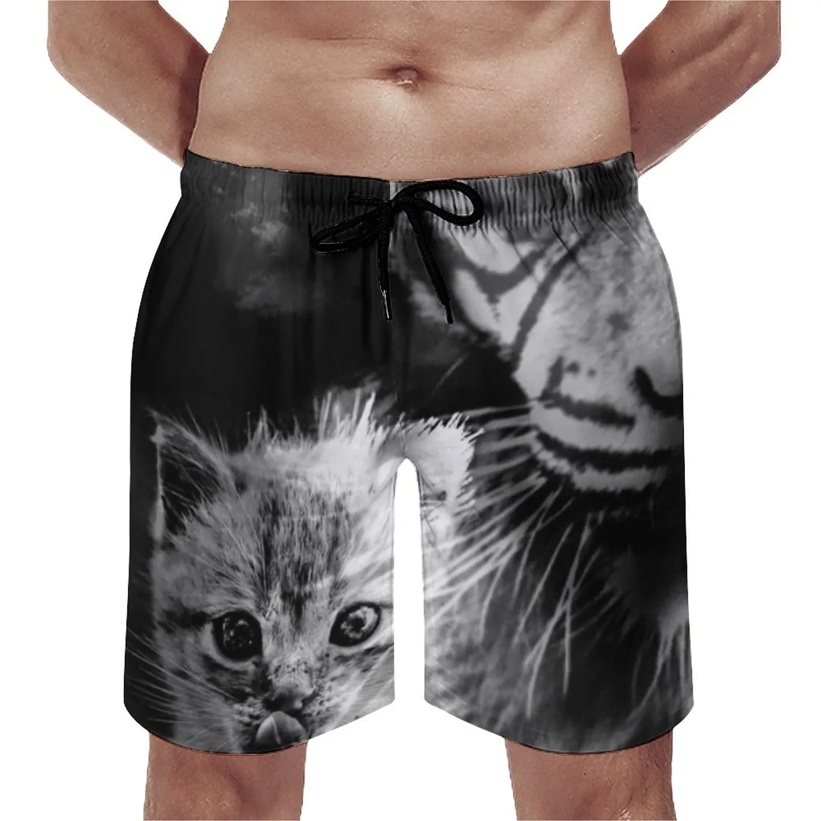 

Summer Board Shorts Tiger And Cat Sportswear Animal Graphic Beach Shorts Vintage Fast Dry Swimming Trunks Plus Size 3XL