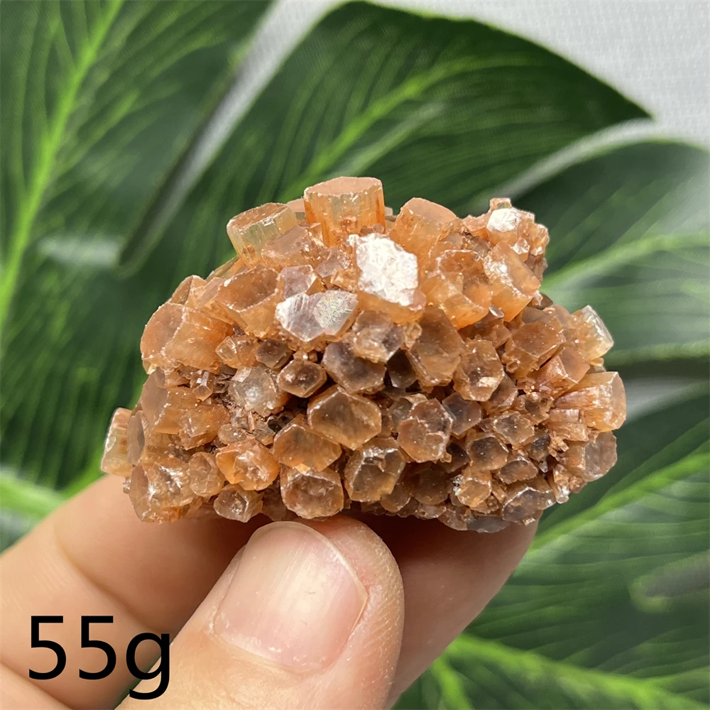 

Итальянский агарат YOCO