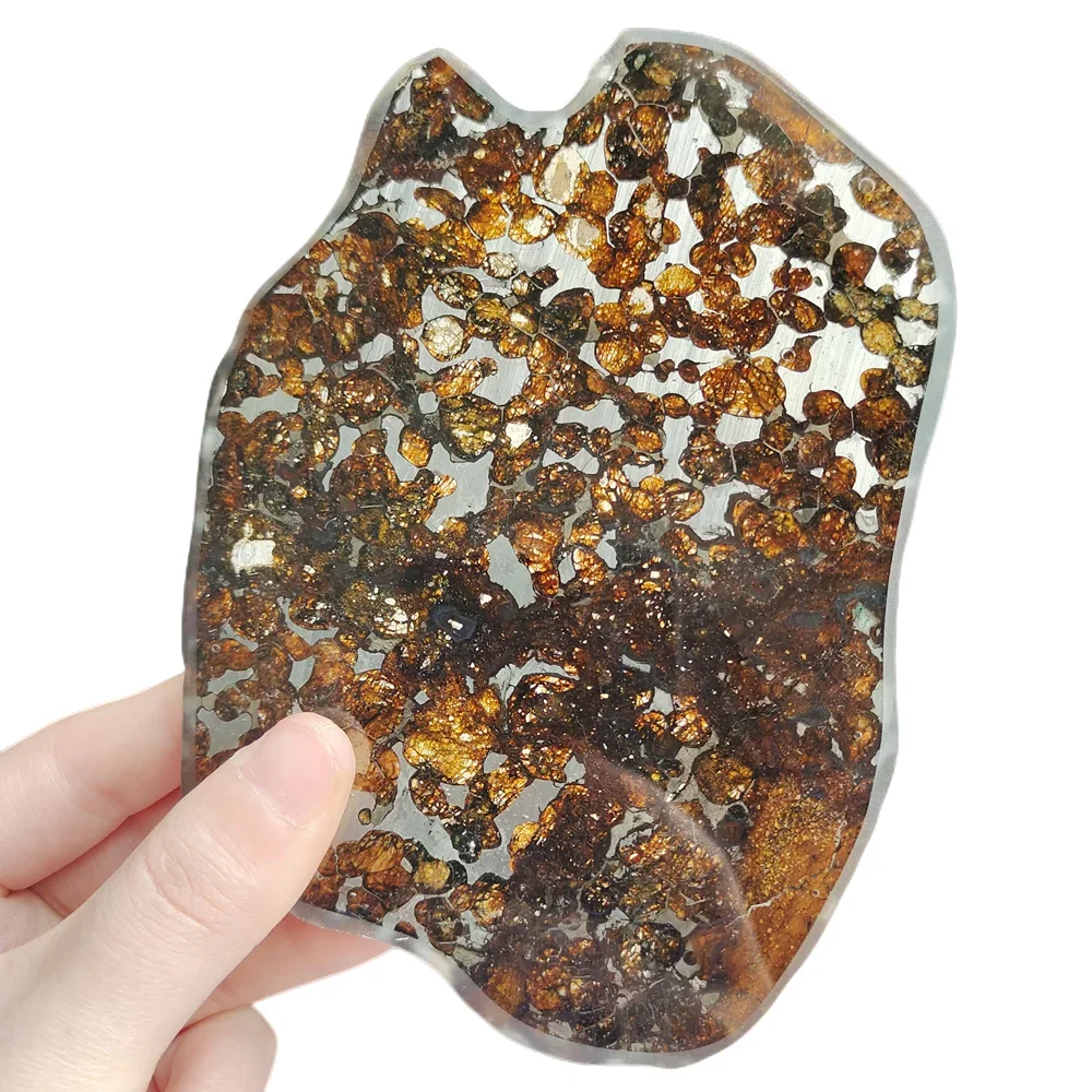 Kenya Olive Meteorite Sericho Оливковый метеорит Срез натурального метеорита Образец