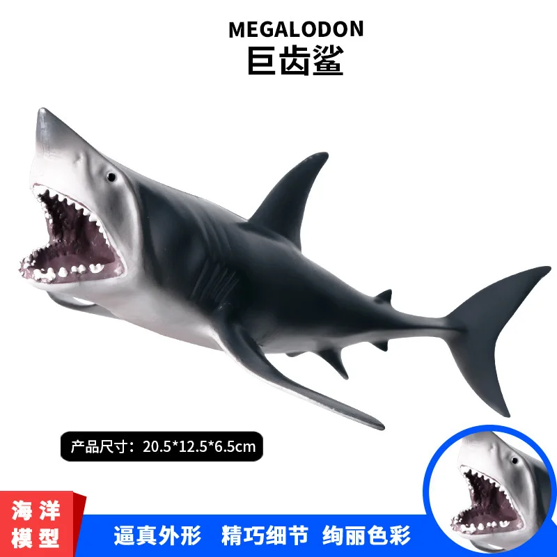 21 см Морская жизнь животные Megalodon Акула Модель Фигурки Океан морской аквариум