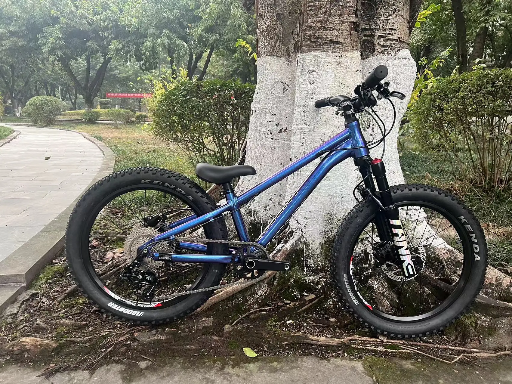 X-cobra 20-дюймовый детский горный велосипед DJ20 студенческий для мальчиков и девочек