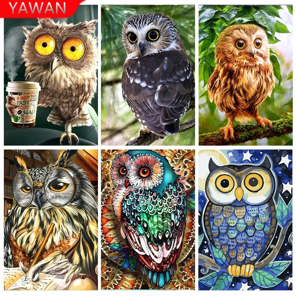 

Cartoon Owl Animal Pattern Diamond Painting 5D Diamond Embroidery DIY Full Square/Circle Mosaic Art Wall Decor Art