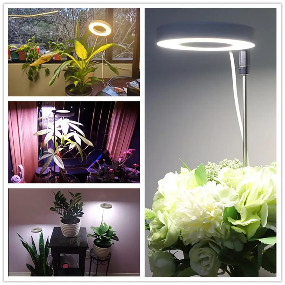 Efficient Full Spectrum Led Grow Lights For Flower Bonsai Plants Wide Illumination Range Usb-powered Angel Ring Fill