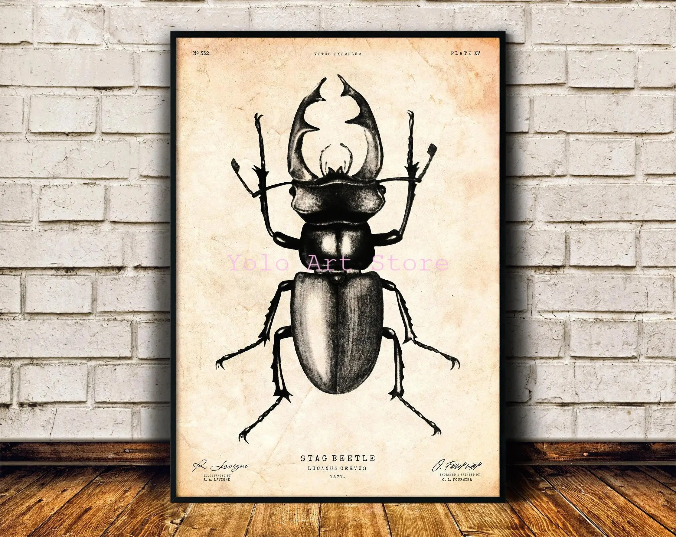 

Настенная картина "Винтажная бабочка", печать на холсте