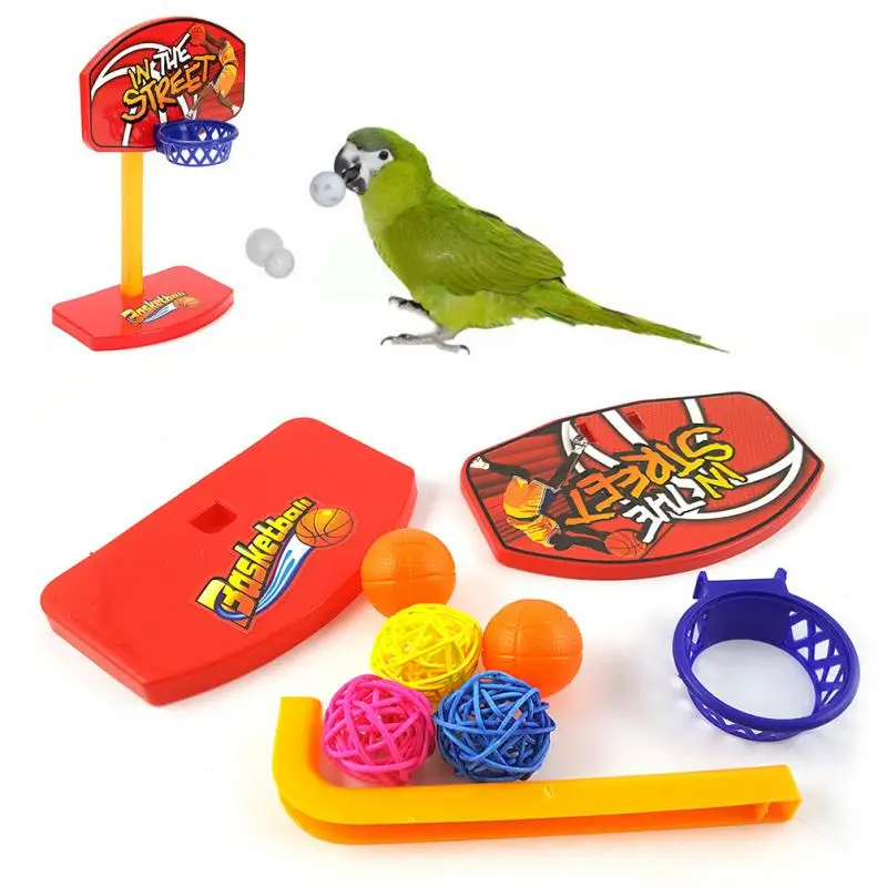 

Pet Birds Chew Toy Parakeet Bell Balls Parrot Toys Birdie Basketball Hoop Props Pet Parrot Pet Product High Quality