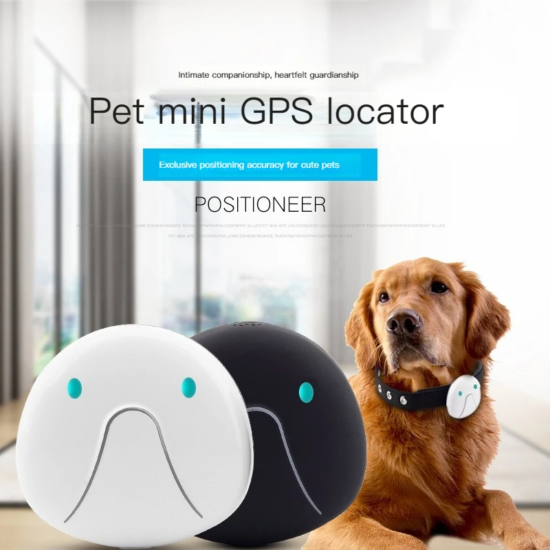 

GPS-навигатор для домашних животных, умный ошейник для собак и кошек, с Wi-Fi, с защитой от потери, водонепроницаемый локатор для отслеживания, товары для домашних животных