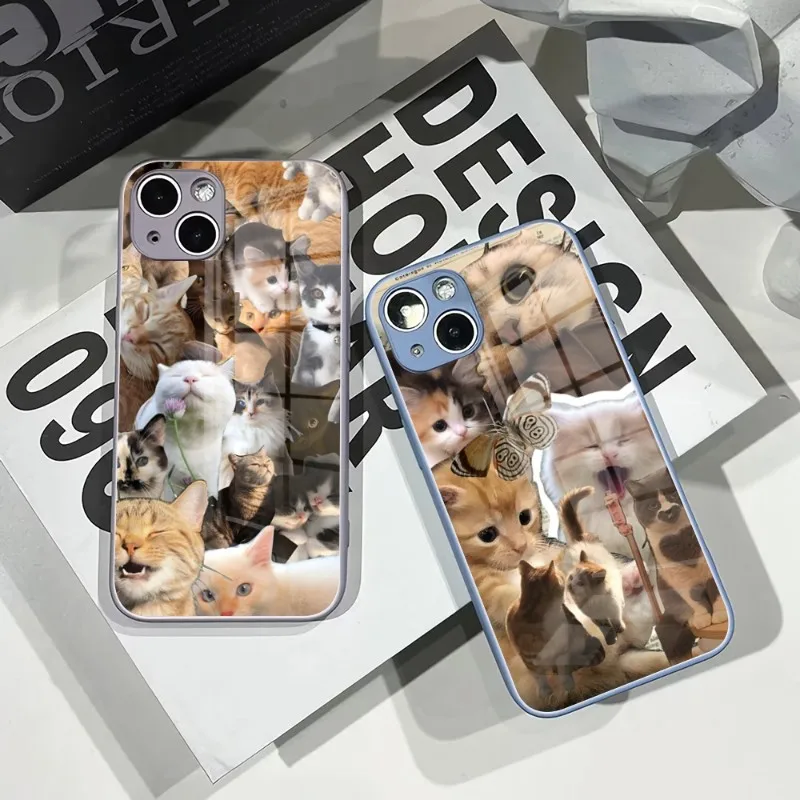 Cute Cat Phone Case For IPhone 14Pro 13 11 12 XR XS MAX 7/8 X Plus 13 Color Tempered Glass Cool Couple