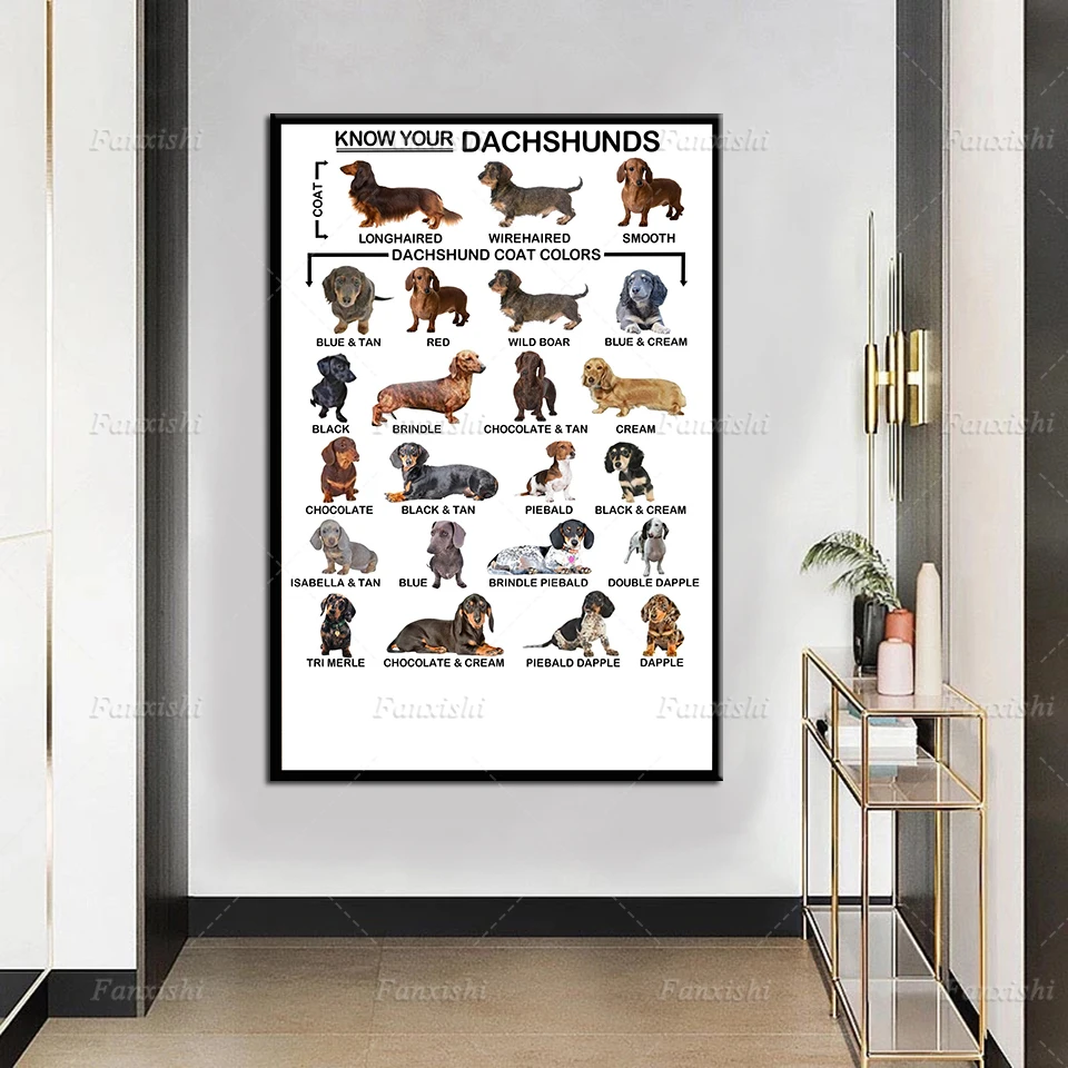 

Wall Art Poster Hd Print Modular Dachshunds Dog Breed Pictures Simple Canvas Painting Home Decor For Living Room Dog Lovers Gift