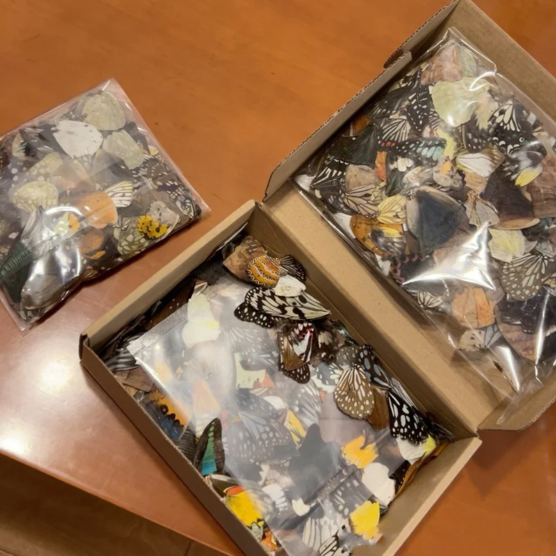 

Крылья бабочек для декора