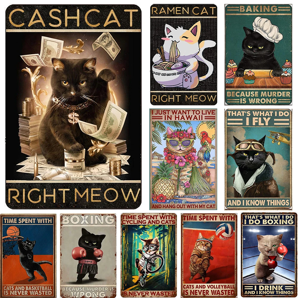 Cash Cat Ramen Cat, Kitten Play Sports Metal Sign, Human And