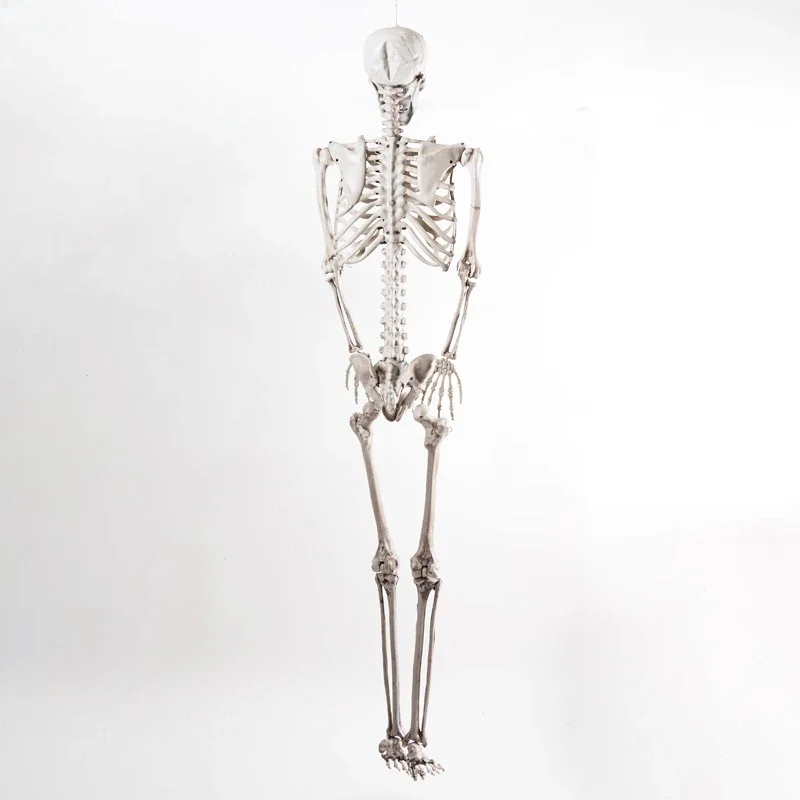 Искусственная модель лидер продаж пластиковый дом с привидениями реквизит для