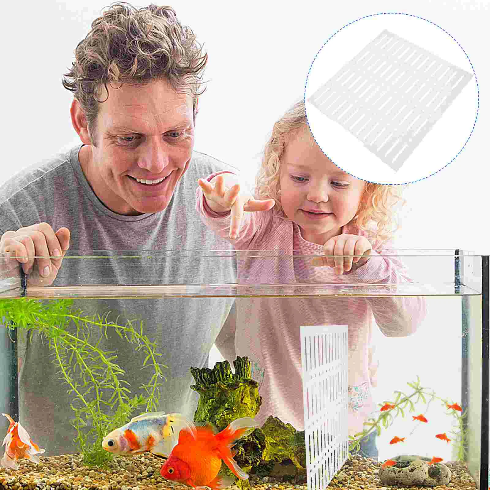 

Aquarium Divider Tank Board Isolation Plate Separator Acrylic Filtration Grid Quarium Panels Betta Tray Separation Gallon
