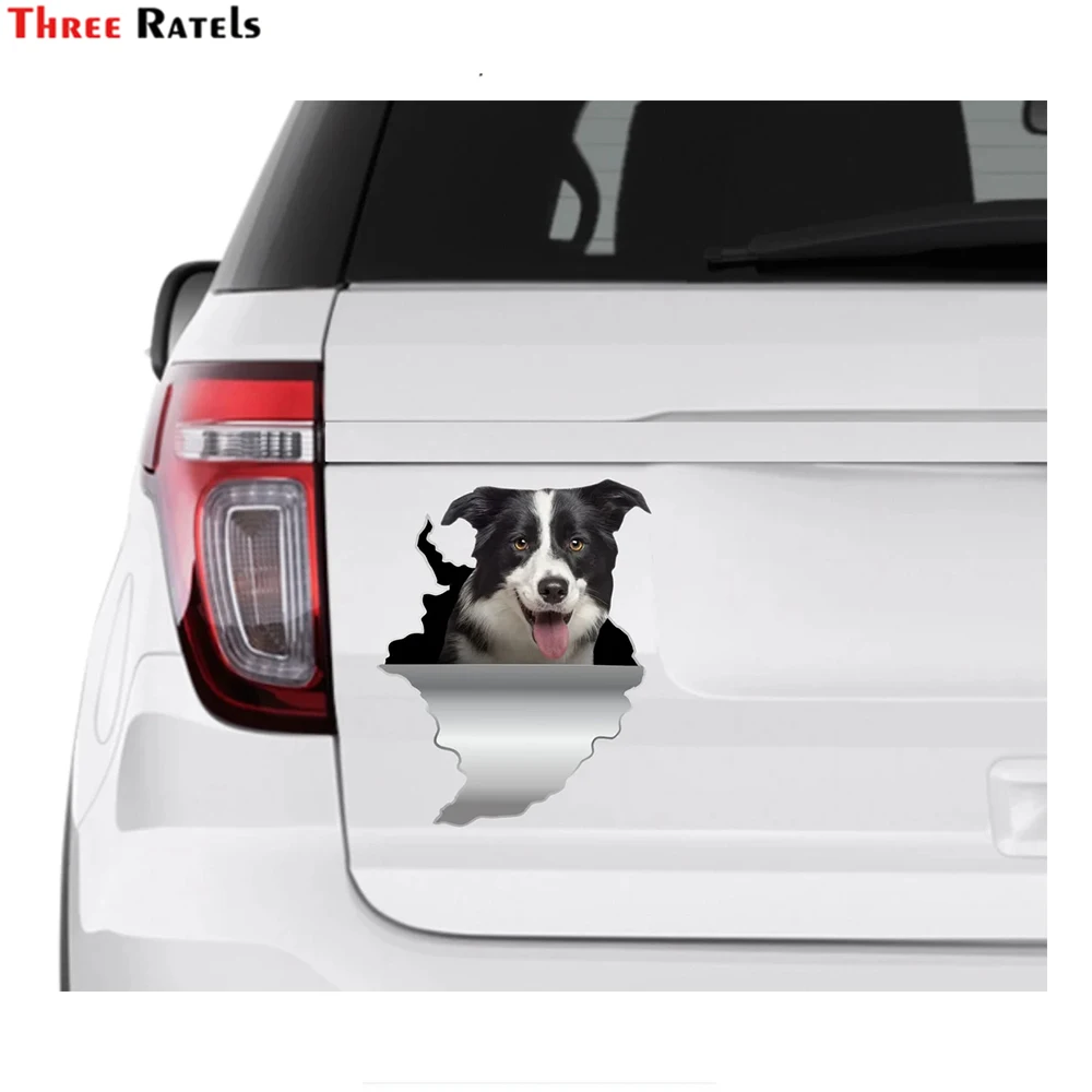 

Three Ratels I656 3D Border Collie Dog Stickers Black And White Dog Car Decal Car Accessories Decals For Audi A3 8p