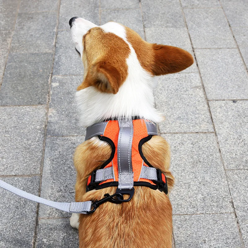 

Шлейка-жилет для собак, регулируемый сетчатый поводок, максимальная нагрузка 70 кг