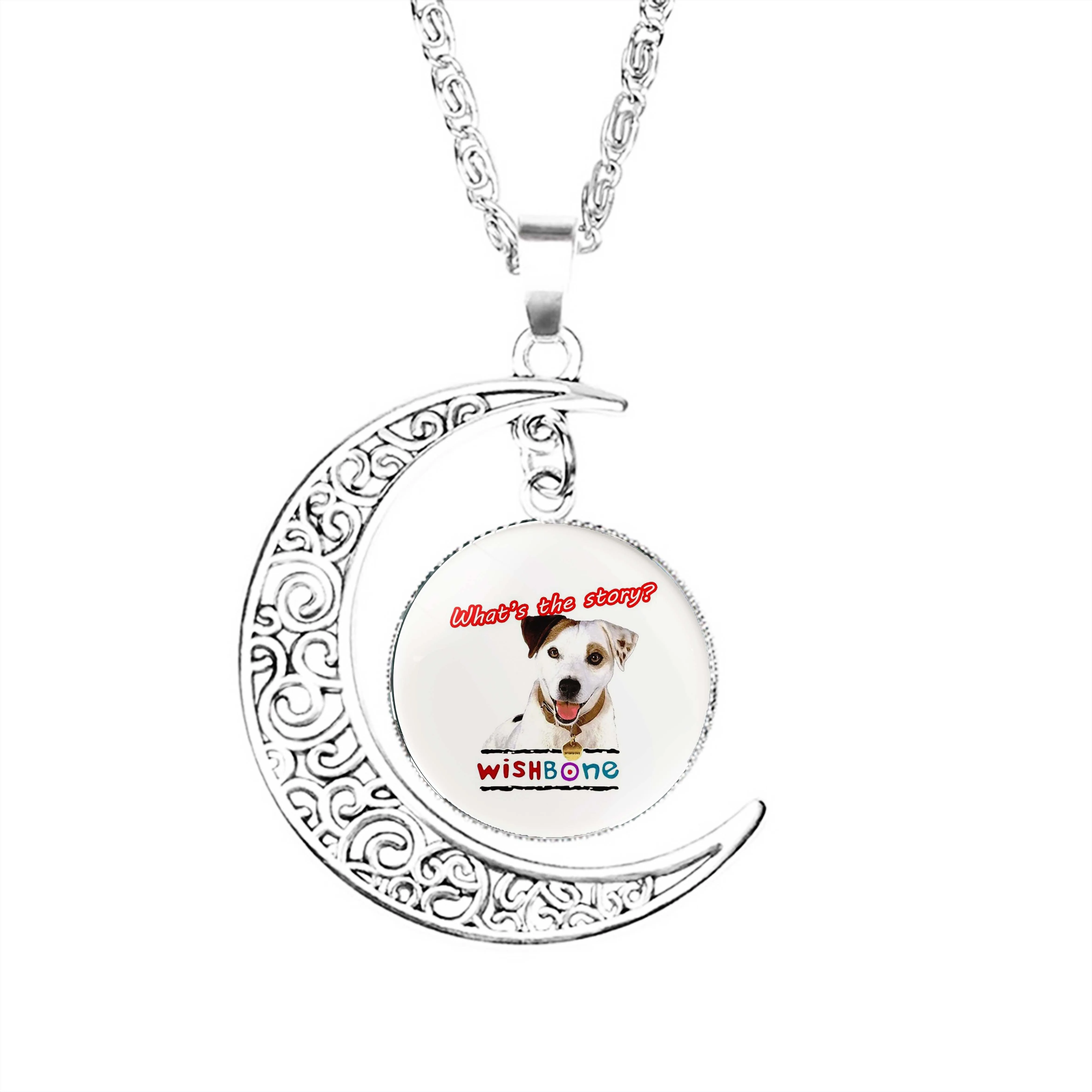 

Whats The Story Wishbone Tribute Moon Necklace Stainless Steel Gifts Lady Girls Crescent Boy Women Fashion Jewelry Men Lovers