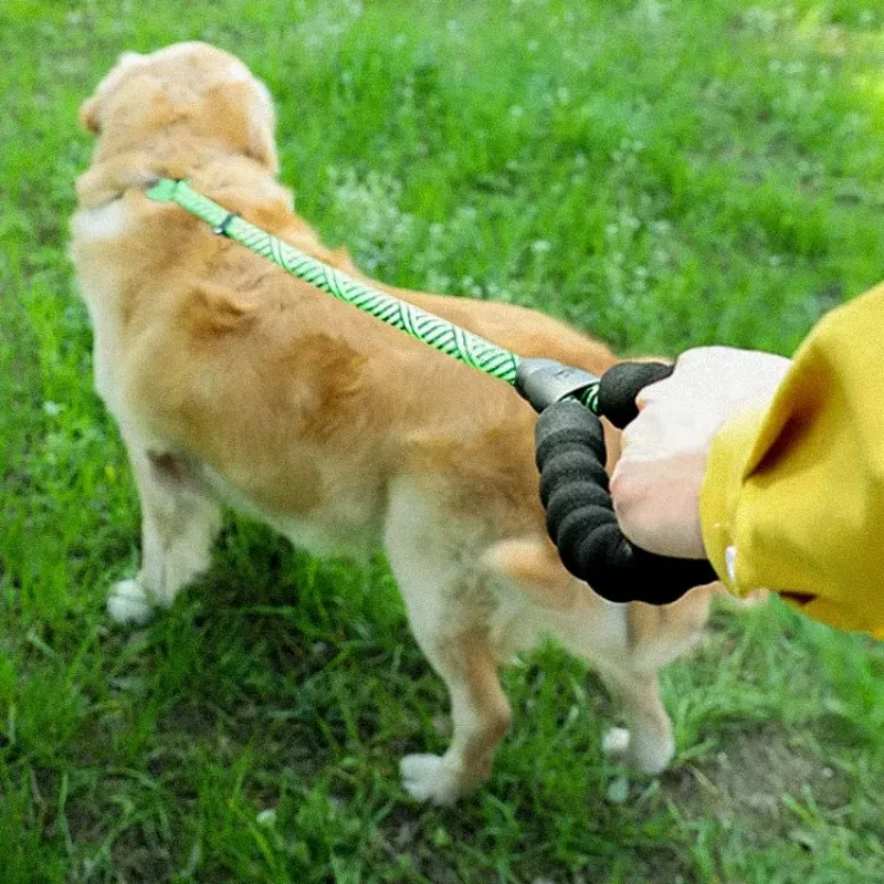 

Поводок для собак, сверхпрочная плетеная веревка-поводок для дрессировки средних и крупных собак