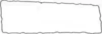 

REINZ71-37697-00 drink valve cover gasket (rocker) KERAX PREMIUM 370/420 DCI