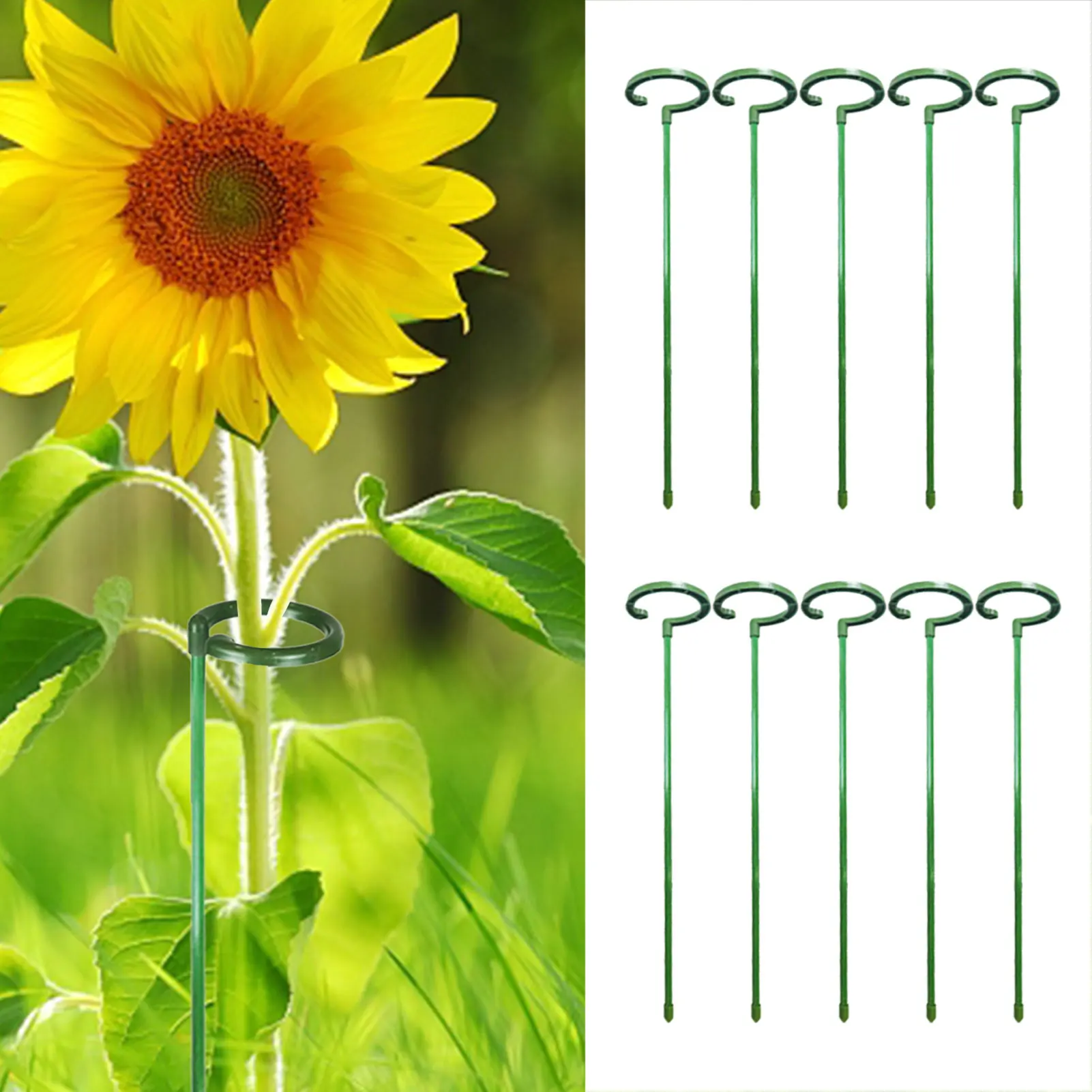 

10Pcs/set Single Stem Plant Support Stakes Garden Bonsai Support Stake Stander Durable Anti-Rust Flower Supports Rings Cages