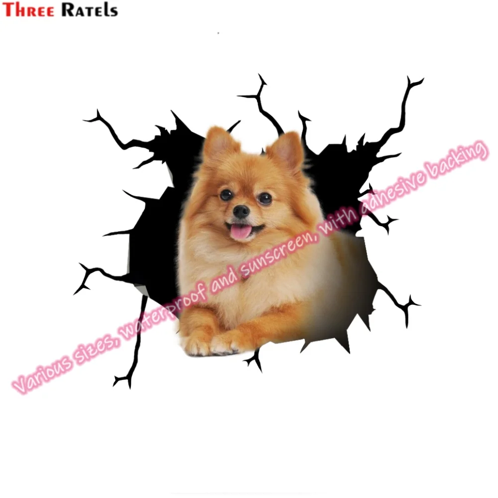 Три Ratels HA-0041 клейкие виниловые аксессуары для BMW F30 Opel Astra H мотоциклетные наклейки