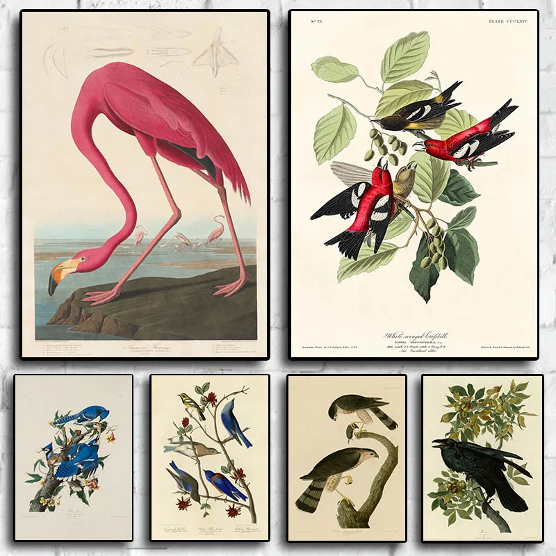 

Картина на холсте с птицами красным Веном журавлем мультяшный цветочный постер учебник иллюстрация Декор детской комнаты Настенная Наклейка