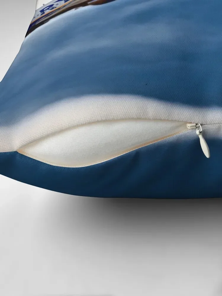 Ryanair пледы подушки чехлы для диванов наволочка дивана наволочки кровати подушка