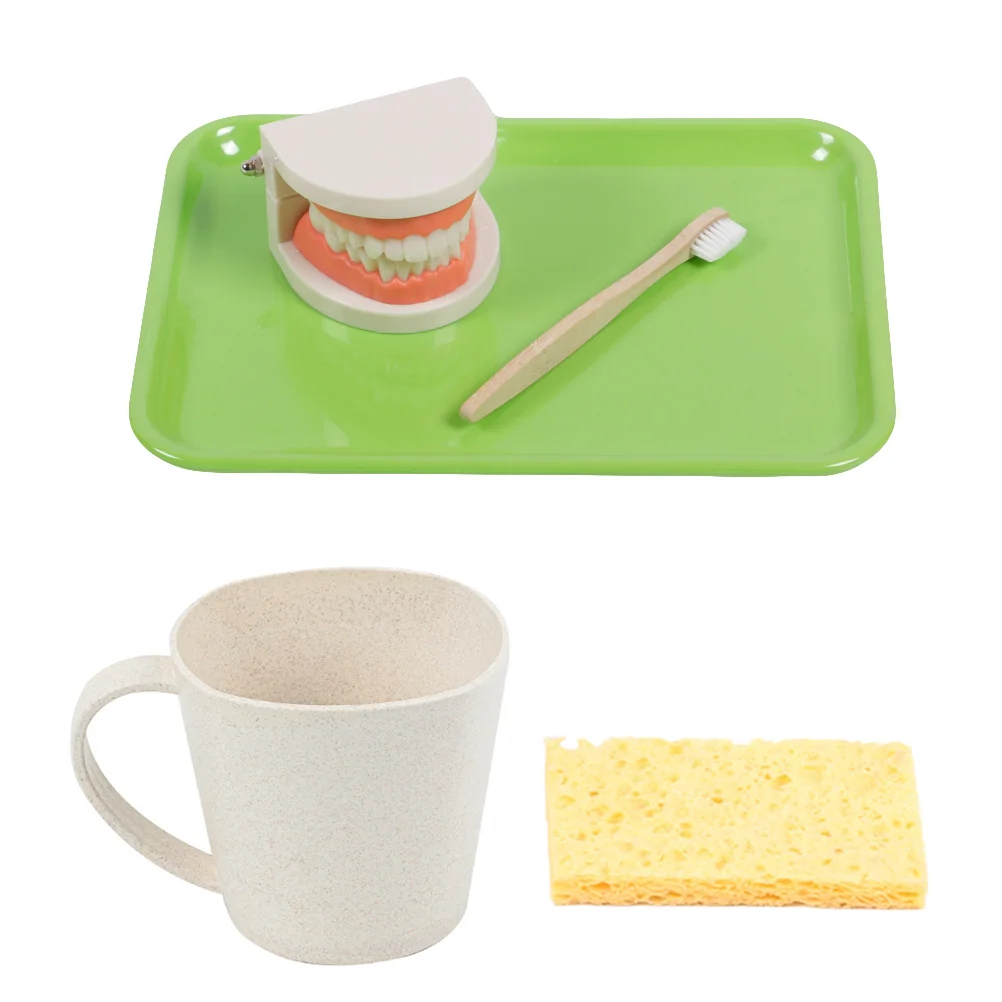 

1 Set Toddler Teeth Brushing Teaching Toys Early Learning Tooth Model