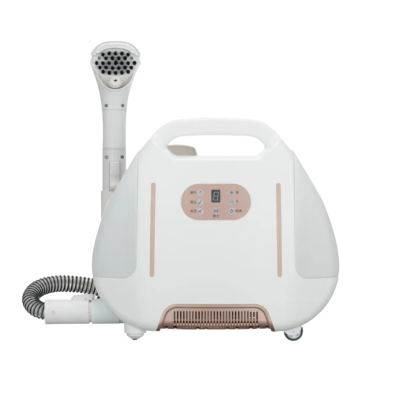 Werkseitige Ручная машина для устранения демпфирования Multifunktions-Dampfspray-Staubsauger