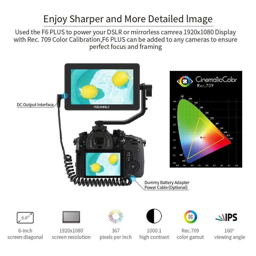 Фото FEELWORLD F6 PLUS V2 4K Монитор 6-дюймовый на камере DSLR Полевой монитор 3D LUT Сенсорный экран IPS FHD 1920x1080 Видеокамера №4