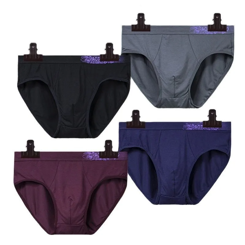 

3 Pcs Big Size Boy Undershorts Men Briefs Underwear Sexy Panties Homme Underpants Undies Knickers Fiber Flexible XL 2XL 3XL 4XL