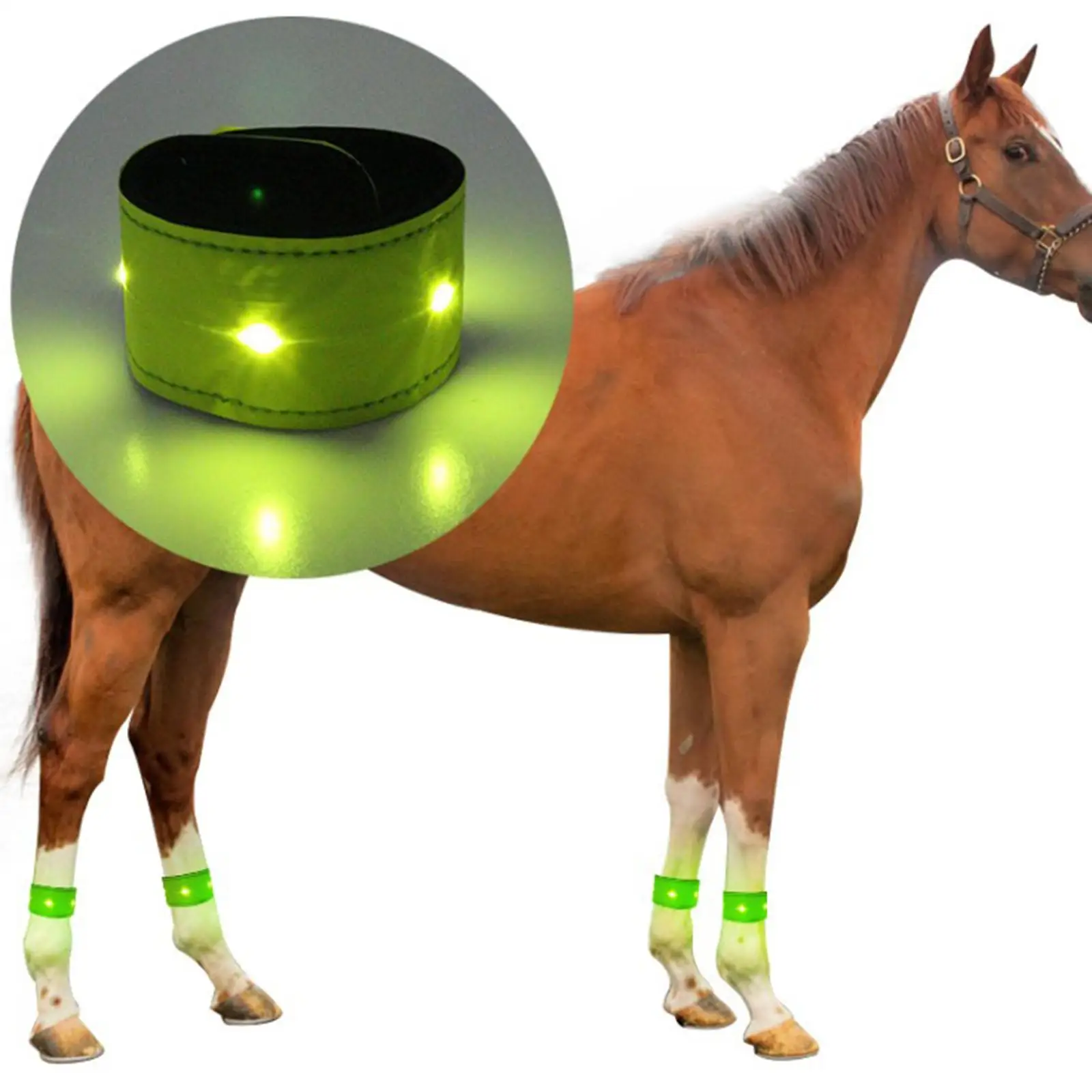 

Equestrian Supply LED Horse Leg Strap Reflective Belts for Arm Wrist Ankle