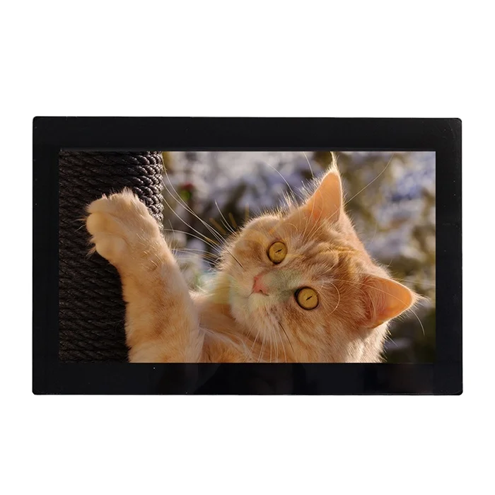 

10.1 Lcd Display Capacitive Touch Custom Design Modules