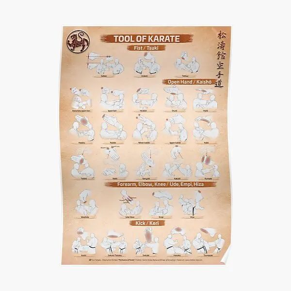 

Постер «инструменты карате» фиара тарталии, современная картина, украшение, Художественная печать, Настенная картина, домашний винтажный смешной без рамки