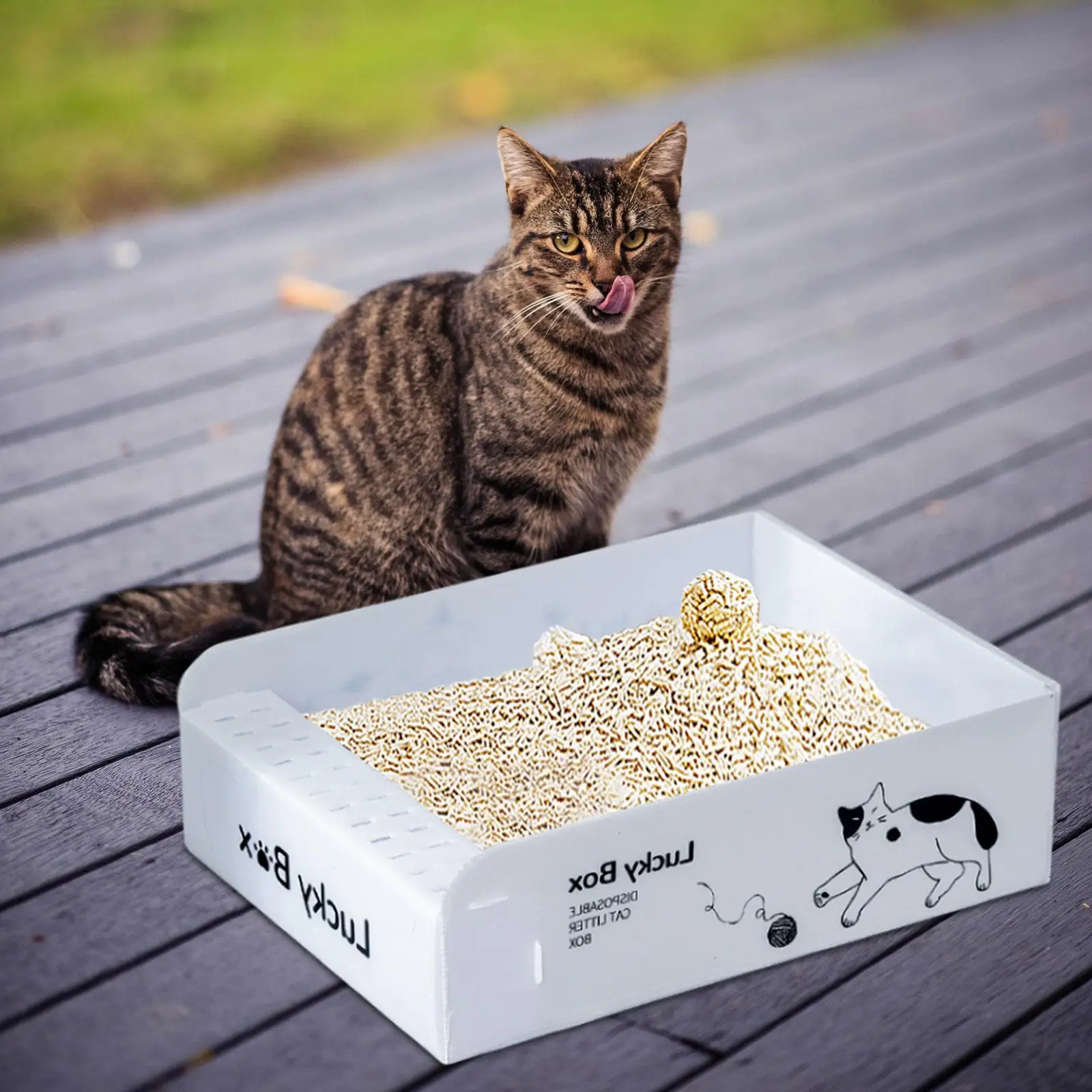 Waterproof Open Top Pet Cat Litter Box Kitten Litter Pan Lit
