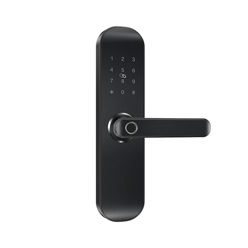 

Fingerprint WiFi Smart Door Lock, Smart Home Digital Wooden Door Lock