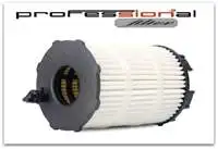 

Store code: SN2585 for oil filter TOUAREG Q7 A8 4,2 V8 FSI