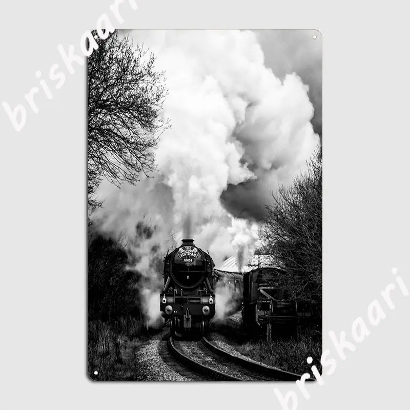 

Летающий шотландский плакат, металлическая фотография, барная пещера, Забавный Настенный декор, оловянные плакаты с знаком