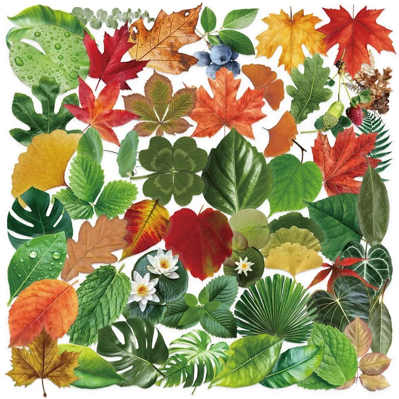 

Цветные наклейки с рисунком листьев для скрапбукинга