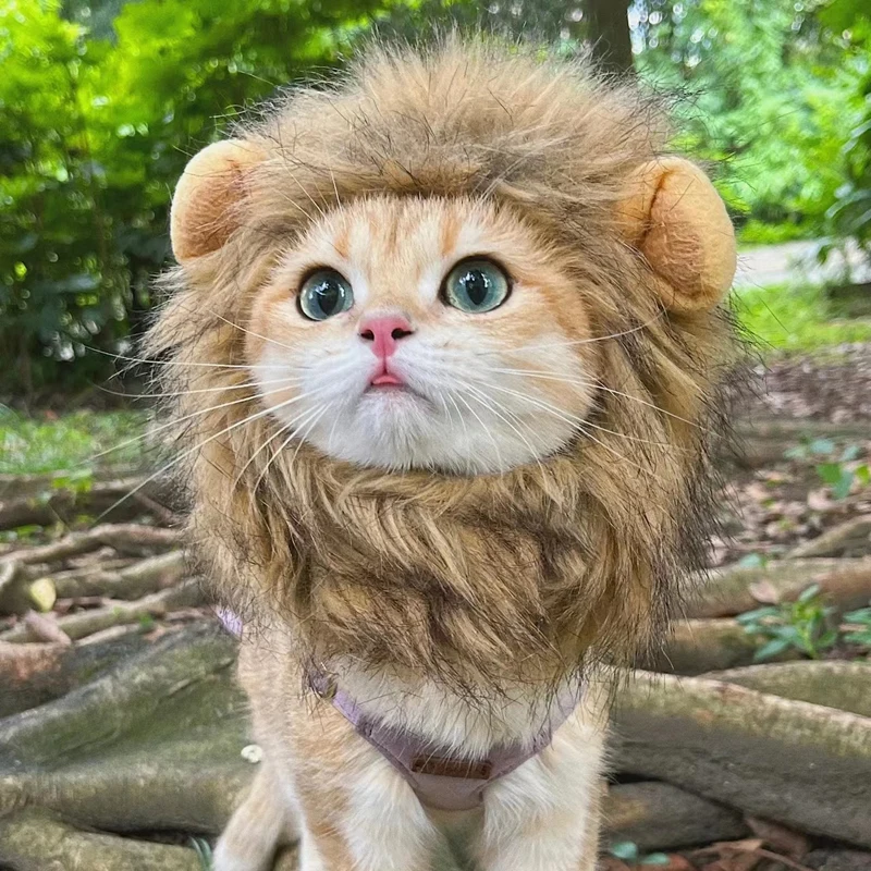 

2023NEW Cute Lion Mane Cat Wig Hat Funny Pets Clothes Cap Fancy Party Dogs Cosplay Costume Kitten Puppy Hat with Ears