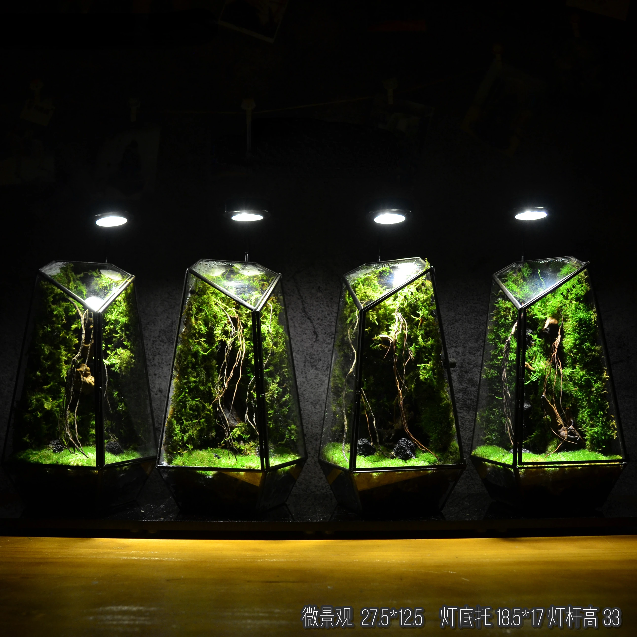 

Integrated Finished Moss Micro Landscape Easy to Keep Green Plant Palm Rainforest Landscape Glass Flower Container