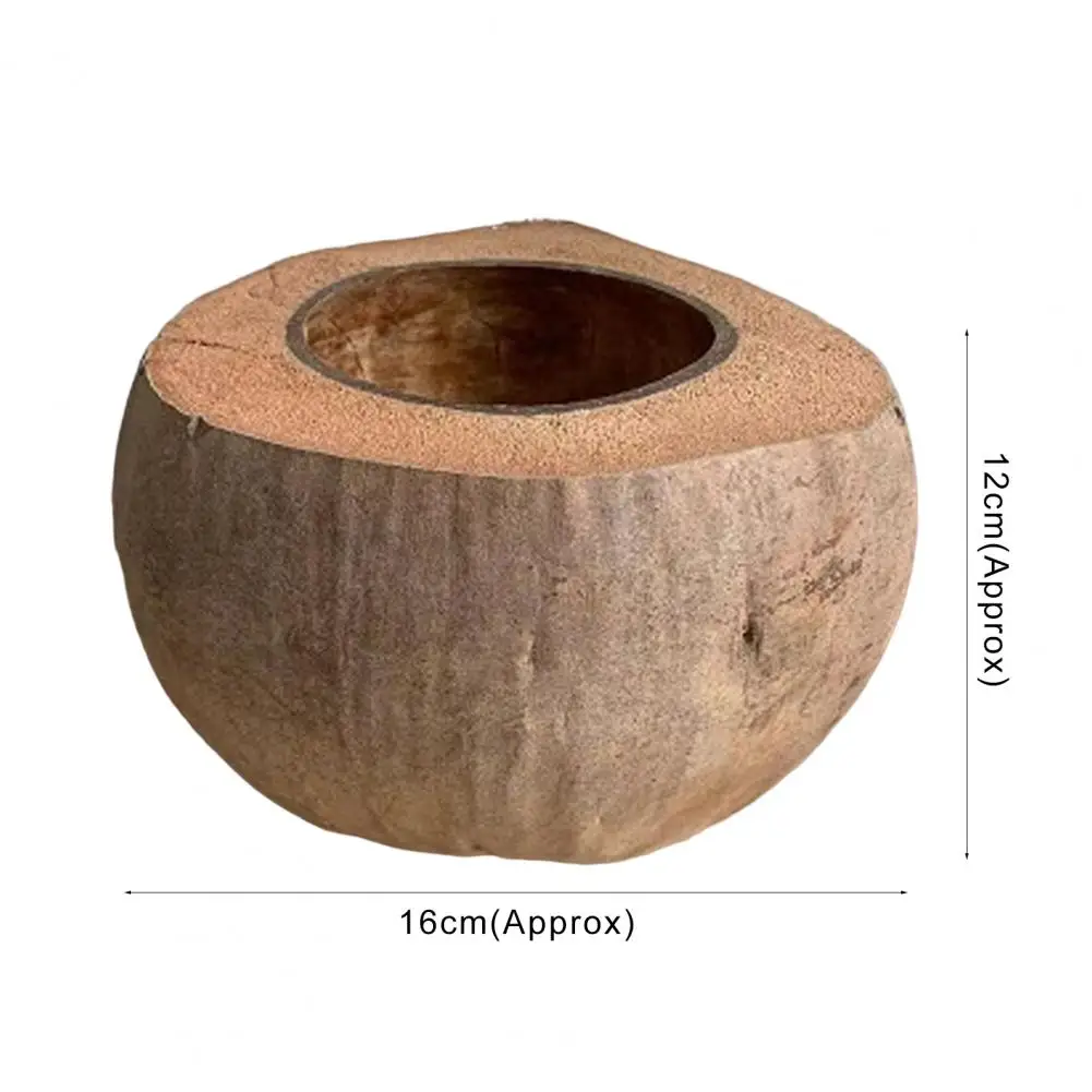 

Candy Bowls Convenient Eco-friendly Ornamental Storage Bowl Candle Holder for Living Room Coconut Bowl Coconut Shell Bowl