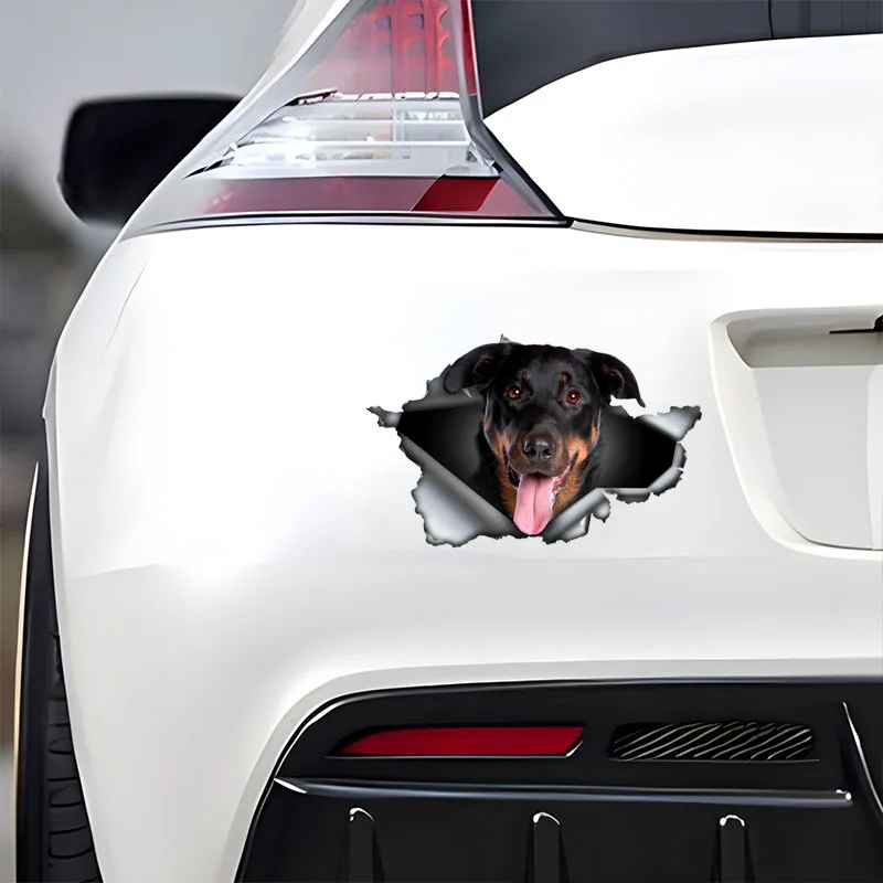 DK570 # Автомобильные наклейки Beauceron самоклеящаяся водонепроницаемая наклейка с